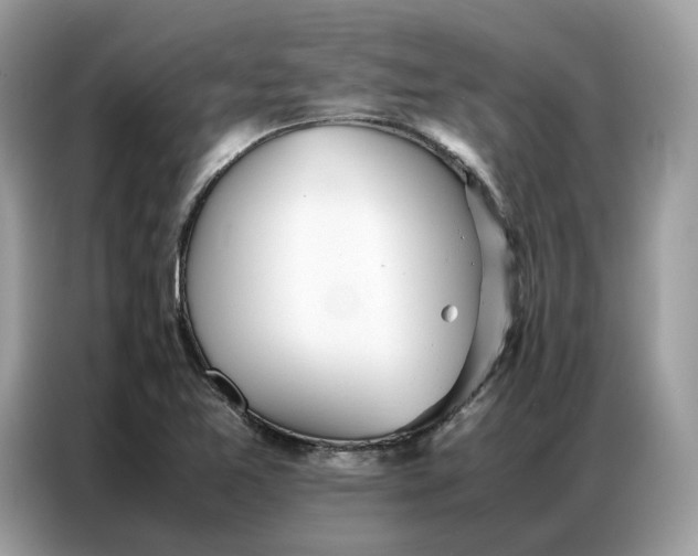X0000086791365200704271822