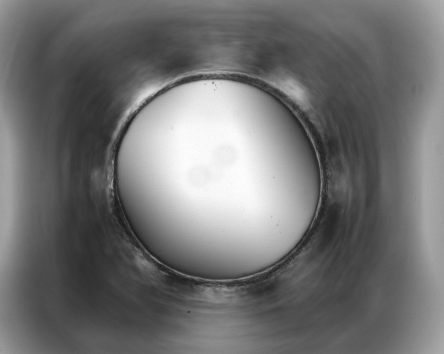 X0000086791366200704271822