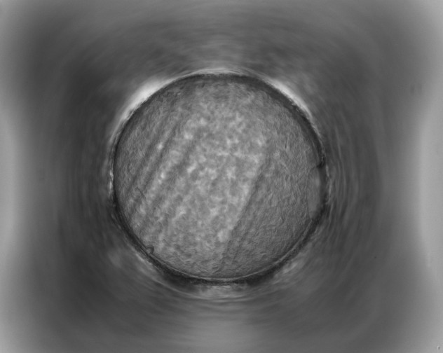 X0000086791367200704271822