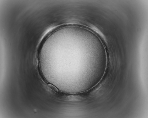 X0000086791368200704271822