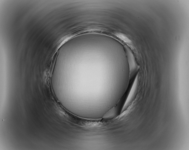 X0000086791369200704271822