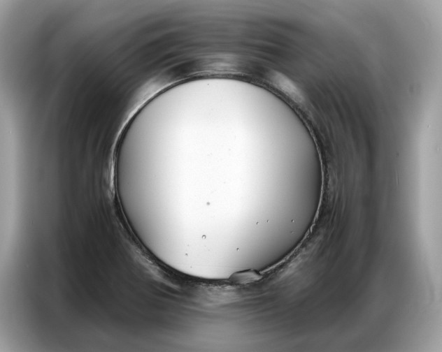 X0000086791370200704271822