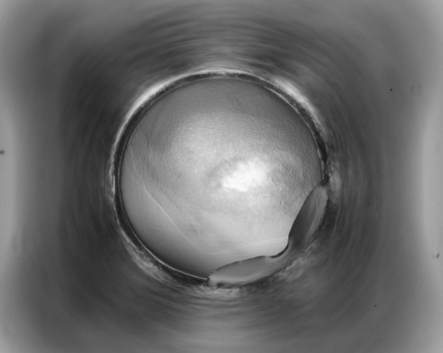 X0000086791372200704271822