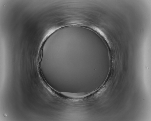 X0000086791373200704271822