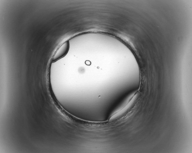 X0000086791375200704271822