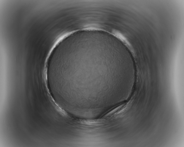 X0000086791376200704271822