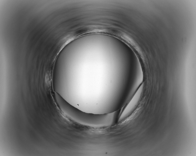 X0000086791377200704271822