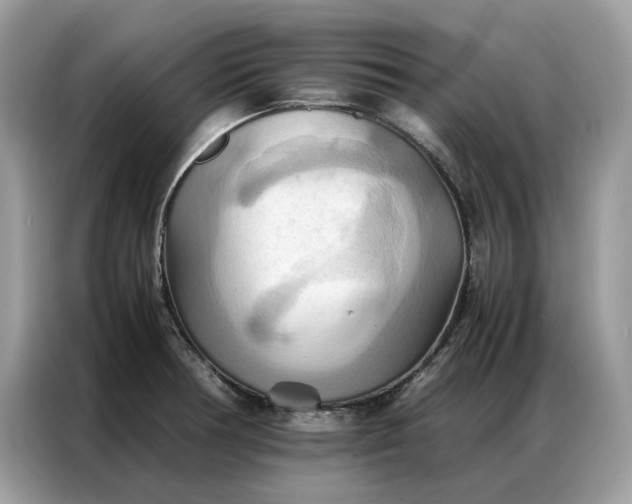 X0000086791378200704271822