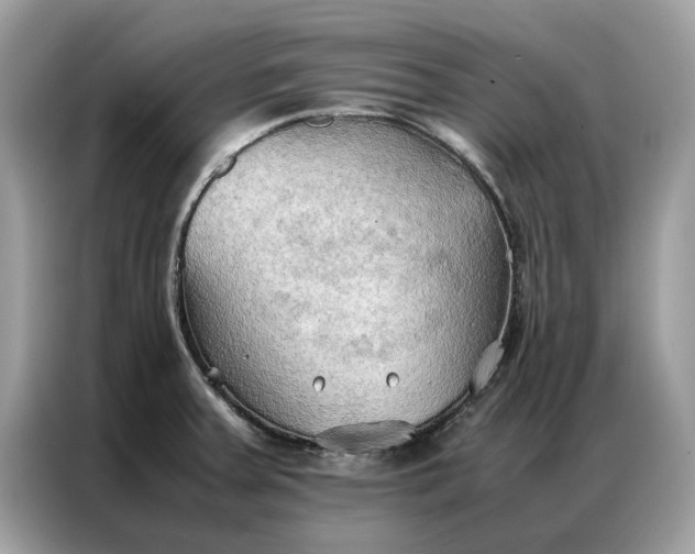 X0000086791379200704271822