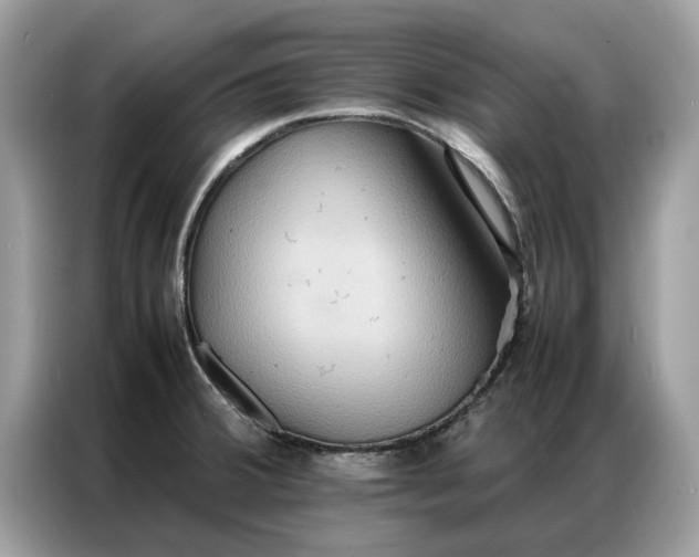 X0000086791380200704271822