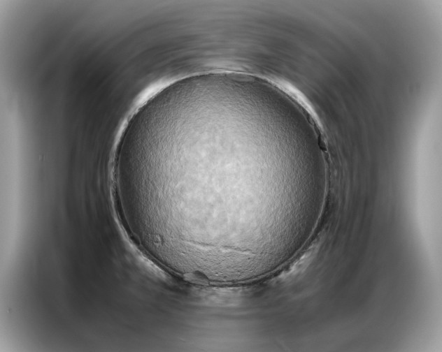 X0000086791381200704271822