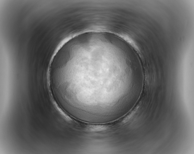X0000086791382200704271822