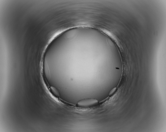 X0000086791383200704271822