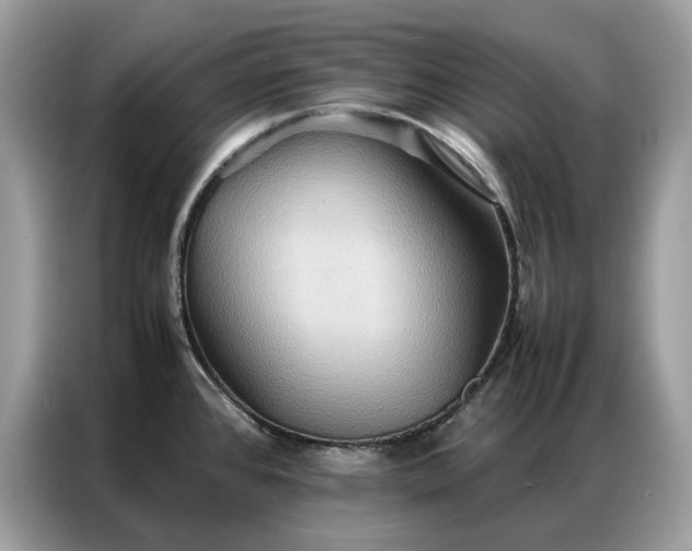 X0000086791384200704271822