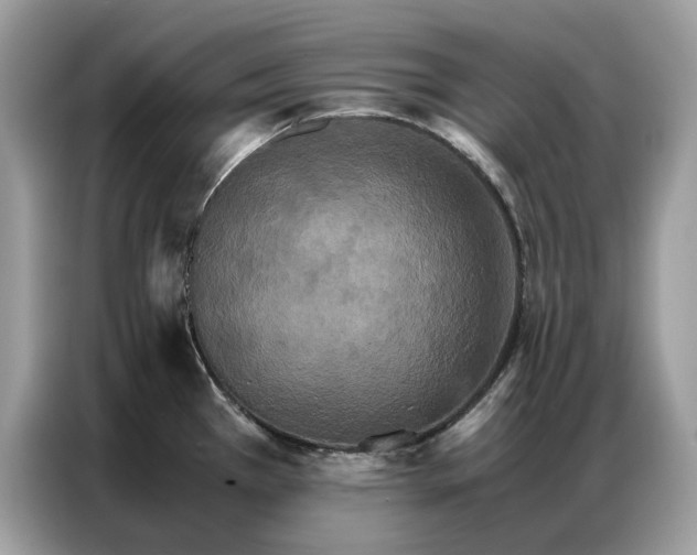 X0000086791385200704271822