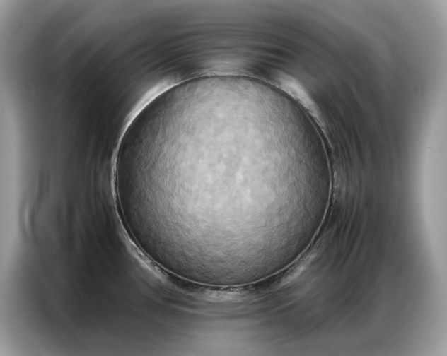 X0000086791386200704271821