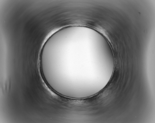 X0000086791387200704271821