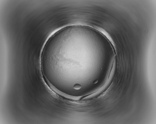 X0000086791388200704271821