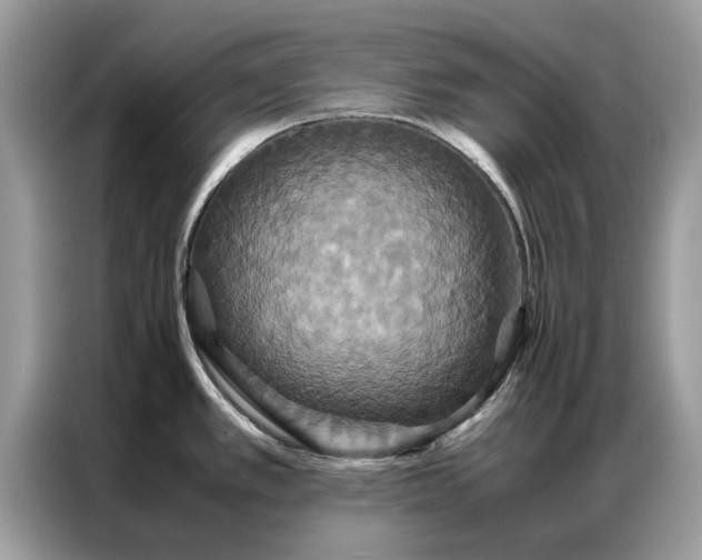 X0000086791389200704271821