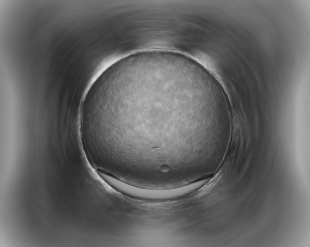 X0000086791390200704271821