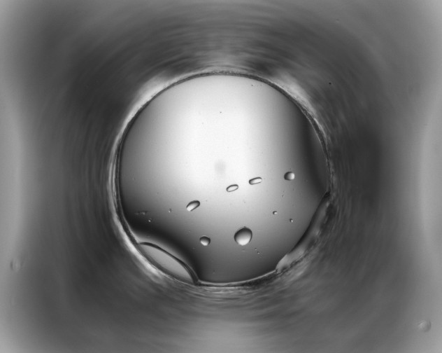 X0000086791391200704271821
