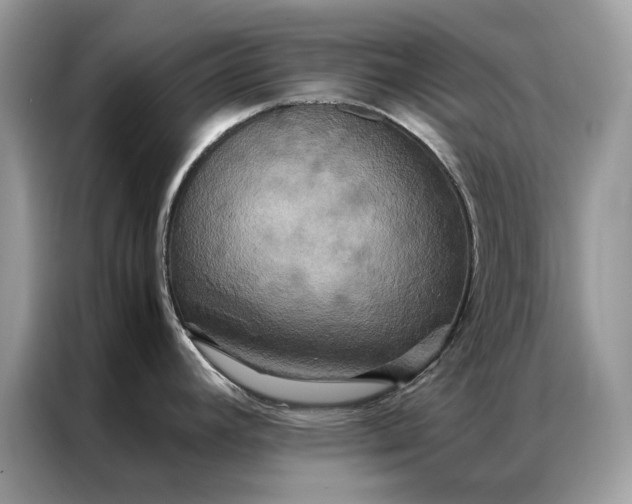 X0000086791392200704271821