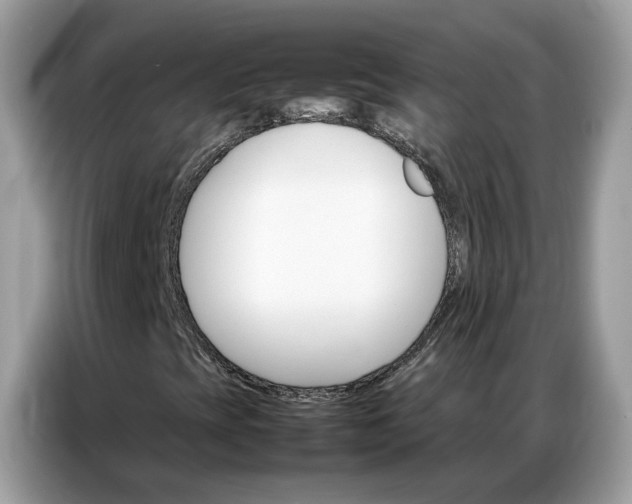 X0000086791393200704271821