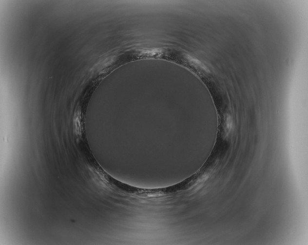 X0000086791394200704271821