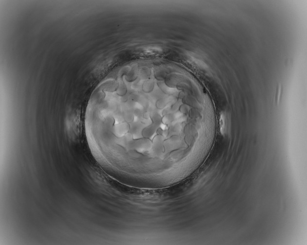 X0000086791395200704271821