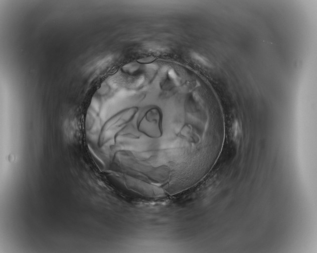 X0000086791397200704271821