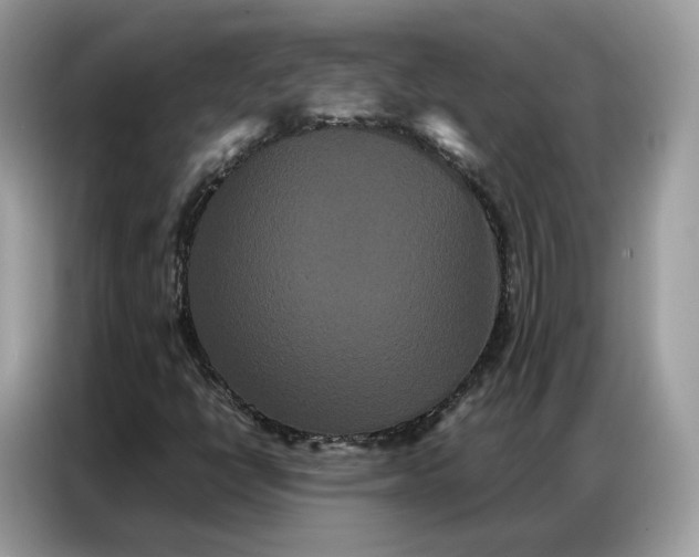 X0000086791398200704271821