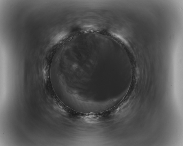 X0000086791399200704271821