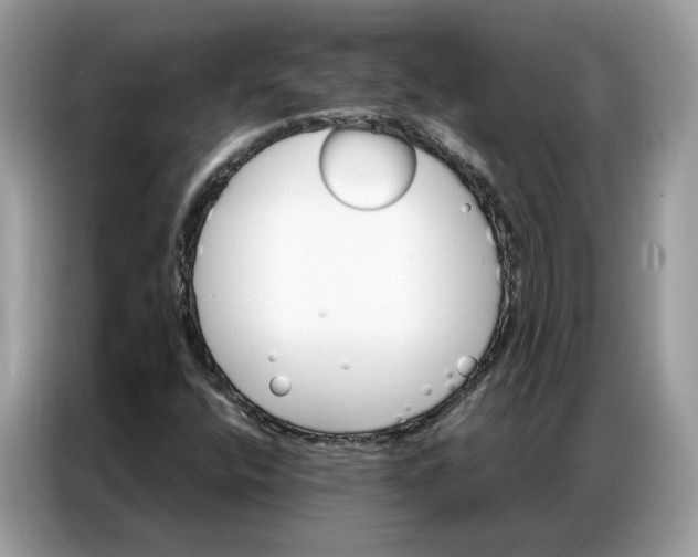 X0000086791400200704271821