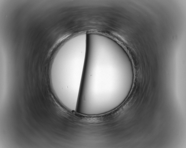 X0000086791402200704271821
