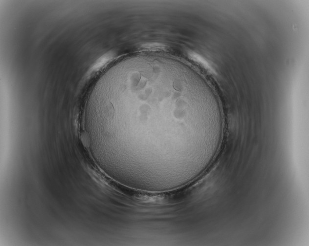 X0000086791403200704271821