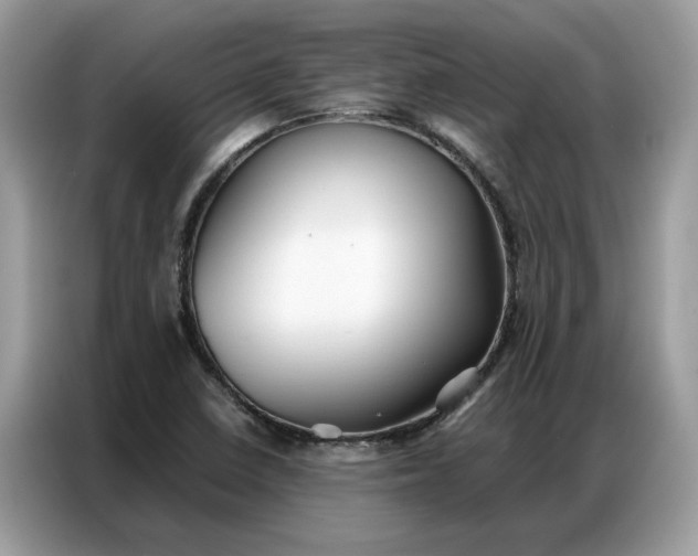 X0000086791410200704271821