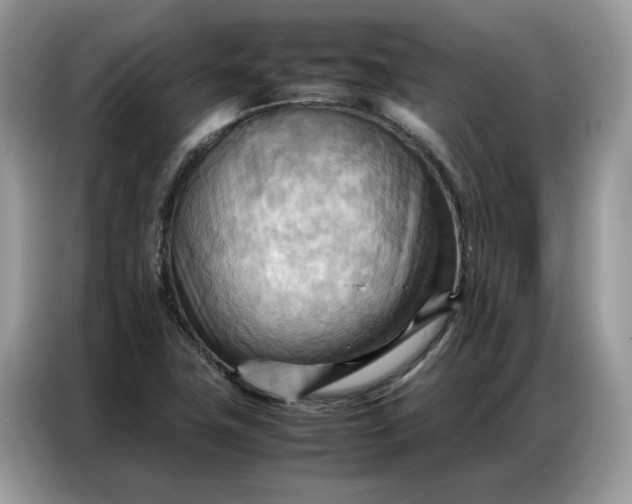 X0000086791411200704271821
