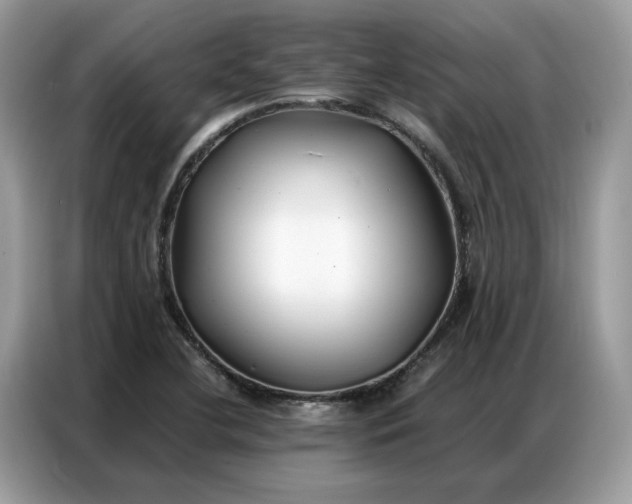 X0000086791412200704271821
