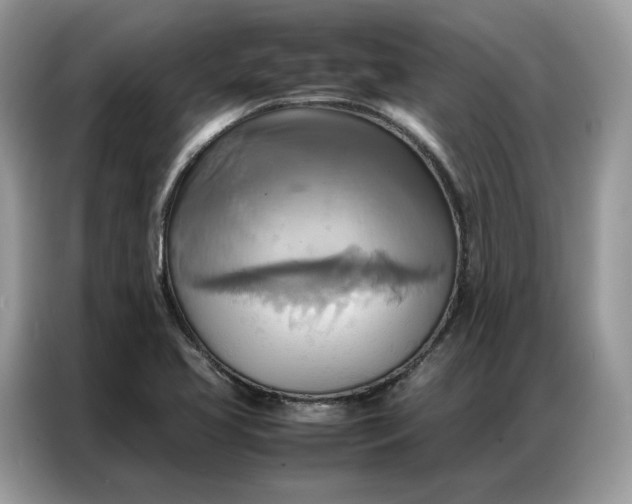 X0000086791413200704271821