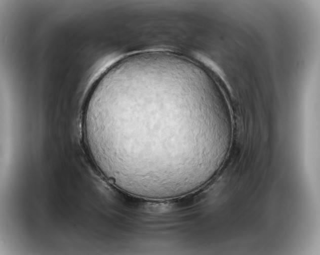 X0000086791415200704271821