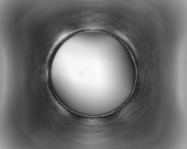 X0000086791416200704271821