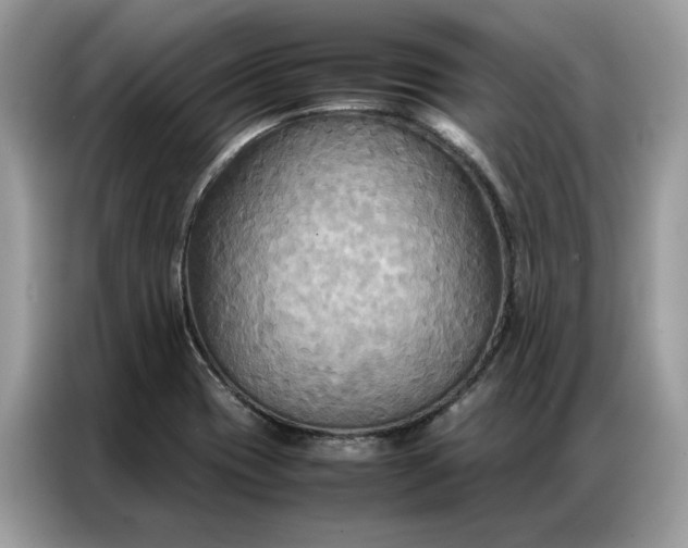 X0000086791417200704271821