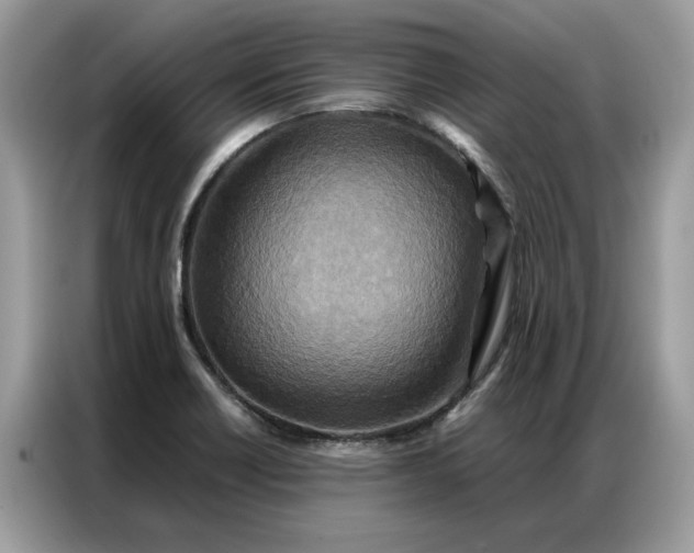 X0000086791418200704271821