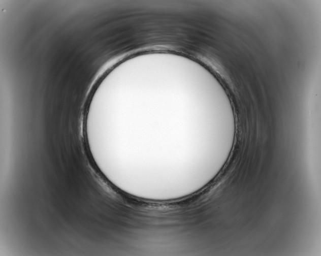 X0000086791420200704271821