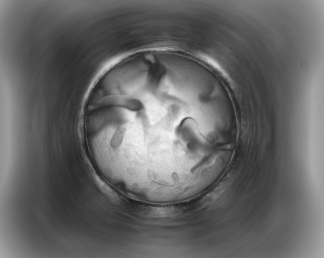 X0000086791421200704271821