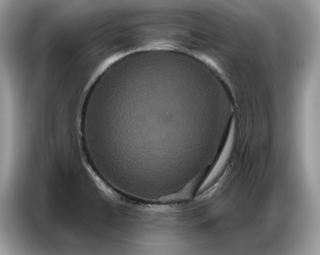 X0000086791422200704271821