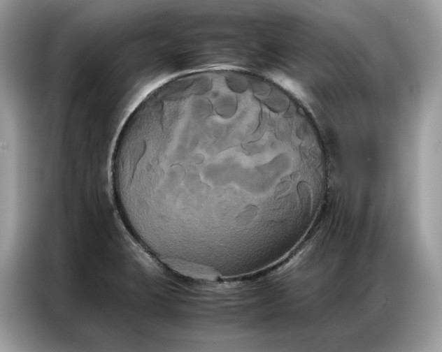 X0000086791423200704271821