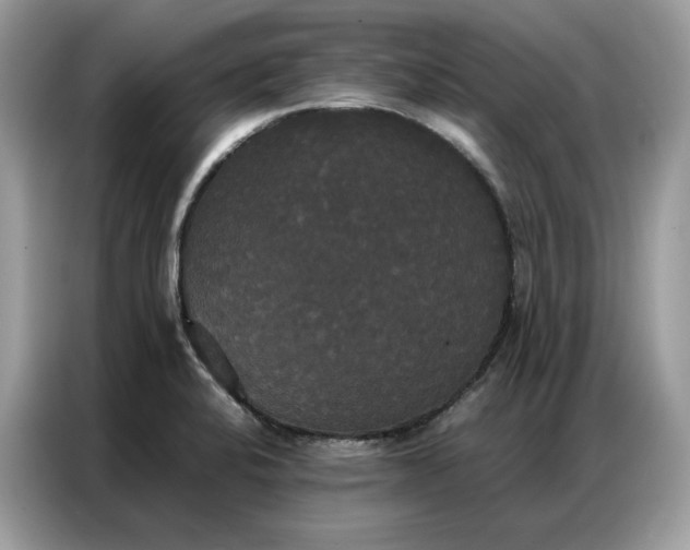 X0000086791424200704271821