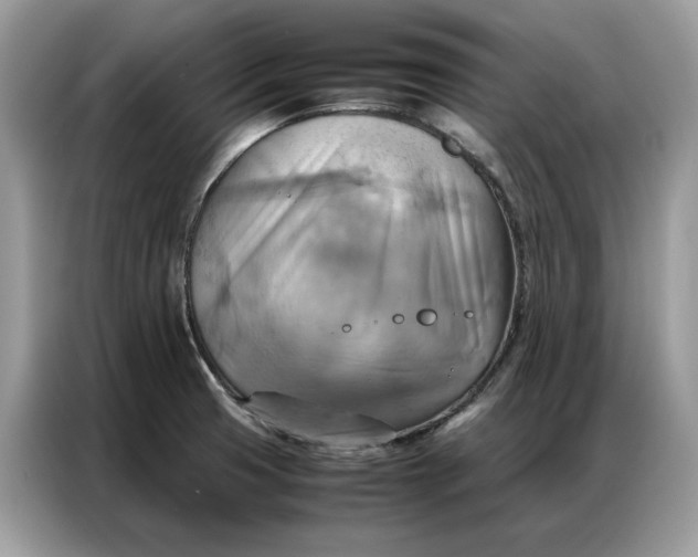X0000086791425200704271821