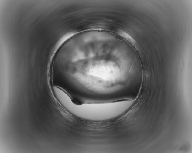 X0000086791427200704271821